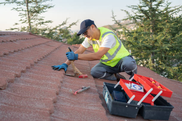 Best Roof Maintenance Services  in Mcleansboro, IL